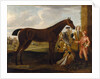 Scamp', a bay racehorse owned by the 3rd Duke of Devonshire and a jockey on a racecourse 1708-30 by John Wootton