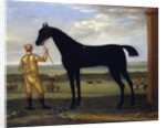 The Duke of Devonshire's racehorse 'Basto', c.1708-25 by John Wootton