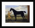 The Duke of Devonshire's racehorse 'Basto', c.1708-25 by John Wootton
