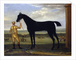 The Duke of Devonshire's racehorse 'Basto', c.1708-25 by John Wootton