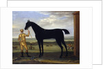 The Duke of Devonshire's racehorse 'Basto', c.1708-25 by John Wootton