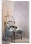 Study of a dog on a chair by William Henry Hunt