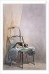 Study of a dog on a chair by William Henry Hunt