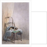 Study of a dog on a chair by William Henry Hunt