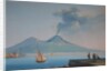 View of Naples Bay with Mount Vesuvius by Neapolitan School