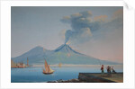 View of Naples Bay with Mount Vesuvius by Neapolitan School