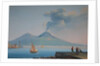 View of Naples Bay with Mount Vesuvius by Neapolitan School