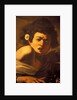 Boy bitten by a lizard, Caravaggio work of art, Palazzo Ducale, Genoa, Ligury, Italy by Anonymous