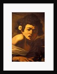 Boy bitten by a lizard, Caravaggio work of art, Palazzo Ducale, Genoa, Ligury, Italy by Anonymous