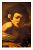 Boy bitten by a lizard, Caravaggio work of art, Palazzo Ducale, Genoa, Ligury, Italy by Anonymous
