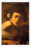 Boy bitten by a lizard, Caravaggio work of art, Palazzo Ducale, Genoa, Ligury, Italy by Anonymous