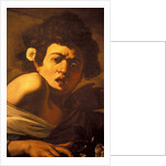 Boy bitten by a lizard, Caravaggio work of art, Palazzo Ducale, Genoa, Ligury, Italy by Anonymous