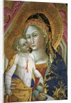 Madonna and child, Francesco di Gentile, XIV century, Piersanti museum, Matelica, Marche, Italy by Anonymous