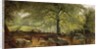 Deer in a Wood by Joseph Adam