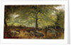 Deer in a Wood by Joseph Adam