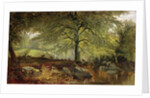 Deer in a Wood by Joseph Adam