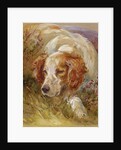 A Spaniel by James Jnr Hardy