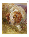 A Spaniel by James Jnr Hardy
