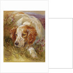 A Spaniel by James Jnr Hardy