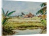 899 Taung Bo Ni from Inthar Heritage House by Clive Wilson