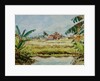 899 Taung Bo Ni from Inthar Heritage House by Clive Wilson