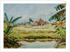 899 Taung Bo Ni from Inthar Heritage House by Clive Wilson