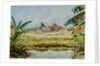 899 Taung Bo Ni from Inthar Heritage House by Clive Wilson