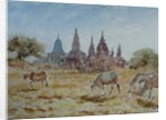 900 From Laymyethna, Bagan by Clive Wilson