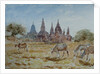900 From Laymyethna, Bagan by Clive Wilson
