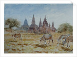 900 From Laymyethna, Bagan by Clive Wilson