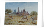 900 From Laymyethna, Bagan by Clive Wilson