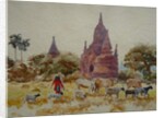 901 Bagan, herding among the temples by Clive Wilson
