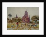 901 Bagan, herding among the temples by Clive Wilson