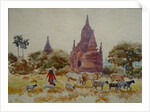 901 Bagan, herding among the temples by Clive Wilson