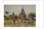901 Bagan, herding among the temples by Clive Wilson