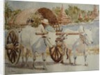 934 Bullock cart taxi round the temples by Clive Wilson