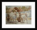 934 Bullock cart taxi round the temples by Clive Wilson