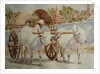 934 Bullock cart taxi round the temples by Clive Wilson