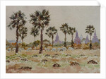 935 Blue cows and palmettos by Clive Wilson