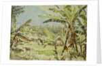 740 Banana trees, Ramboda by Clive Wilson