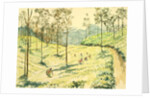 728 Tea pickers near Ella by Clive Wilson
