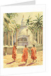 761 Boy monks visit Mihintale by Clive Wilson