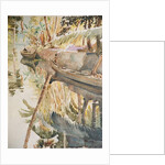 622 Sunrise, backwaters life by Clive Wilson