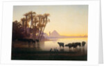 Along the Nile at Gyzeh, c.1850s by Charles Theodore Frere