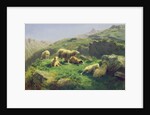 Sheep grazing in the Pyrenees by Rosa Bonheur