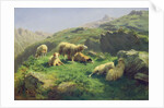 Sheep grazing in the Pyrenees by Rosa Bonheur