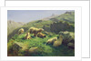 Sheep grazing in the Pyrenees by Rosa Bonheur