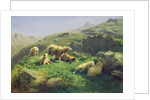 Sheep grazing in the Pyrenees by Rosa Bonheur