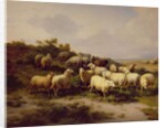 Sheep on the Coast, 1878 by Eugene Joseph Verboeckhoven