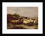 Sheep on the Coast, 1878 by Eugene Joseph Verboeckhoven